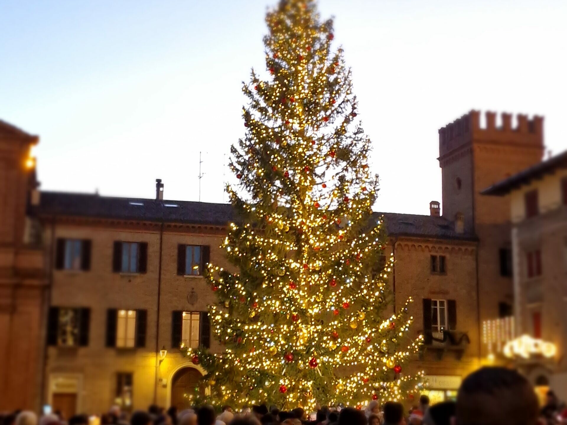 allestimenti natalizi natale